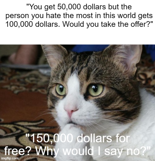 Offer | "You get 50,000 dollars but the person you hate the most in this world gets 100,000 dollars. Would you take the offer?"; "150,000 dollars for free? Why would I say no?" | image tagged in thinking cat,funny,memes,fun,just a joke,trade offer | made w/ Imgflip meme maker