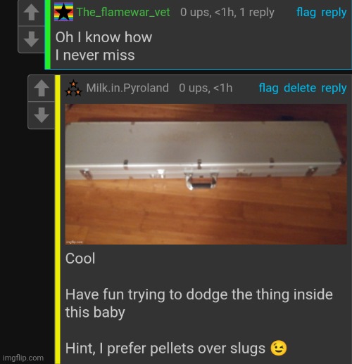 I'm not joking btw, there's a hunting rifle and a 12 gauge in that case | made w/ Imgflip meme maker