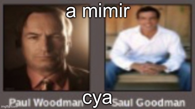 paul vs saul | a mimir; cya | image tagged in paul vs saul | made w/ Imgflip meme maker
