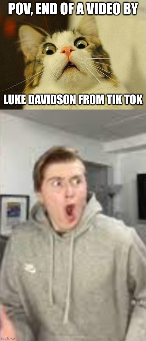 Most of the endings for Luke Davidson | POV, END OF A VIDEO BY; LUKE DAVIDSON FROM TIK TOK | image tagged in memes,scared cat,luke davidson gasp | made w/ Imgflip meme maker