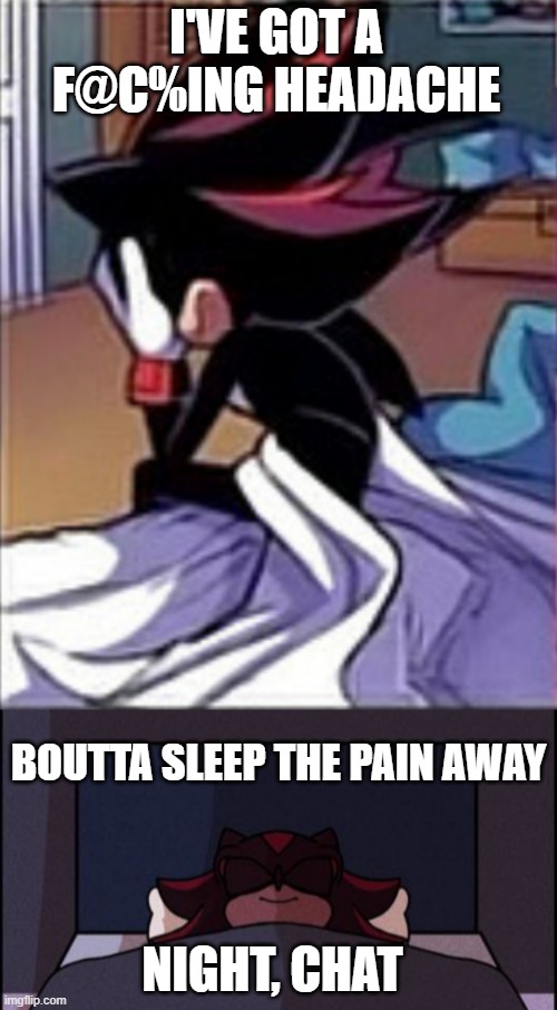 honk mimimimimi | I'VE GOT A F@C%ING HEADACHE; BOUTTA SLEEP THE PAIN AWAY; NIGHT, CHAT | image tagged in shadow facepalming,shadow sleep | made w/ Imgflip meme maker