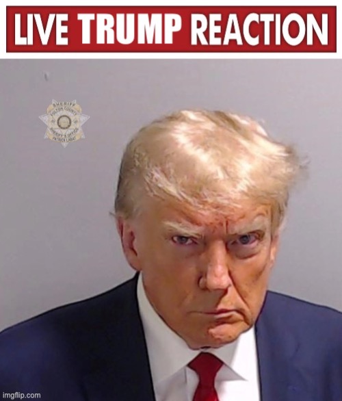 Live Trump Reaction | image tagged in live trump reaction | made w/ Imgflip meme maker