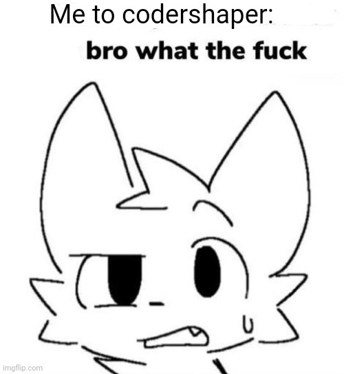 Wtf boykisser | Me to codershaper: | image tagged in wtf boykisser | made w/ Imgflip meme maker
