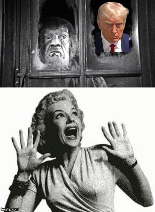 The Face at the Window. | image tagged in retro screaming woman,memes,the face at the window,trump mugshot | made w/ Imgflip meme maker