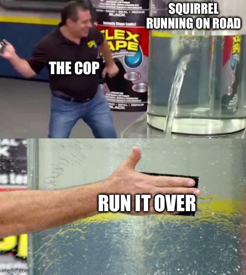 Squirrel | SQUIRREL RUNNING ON ROAD; THE COP; RUN IT OVER | image tagged in flex tape | made w/ Imgflip meme maker