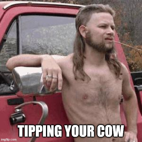 almost redneck | TIPPING YOUR COW | image tagged in almost redneck | made w/ Imgflip meme maker