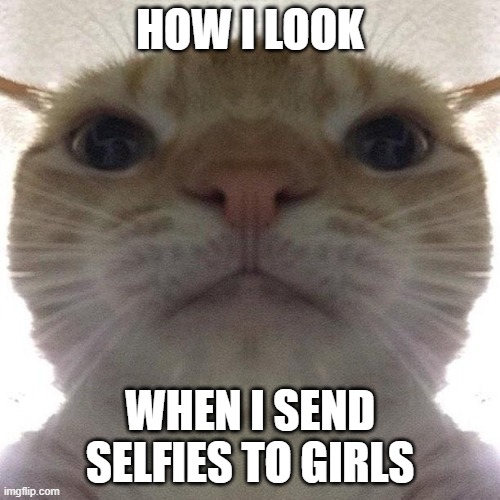 why do i look ugly in selfies to girls :(( | HOW I LOOK; WHEN I SEND SELFIES TO GIRLS | image tagged in staring cat/gusic | made w/ Imgflip meme maker