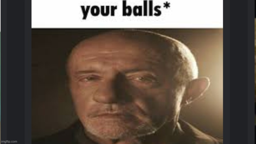 ur balls | image tagged in memes | made w/ Imgflip meme maker