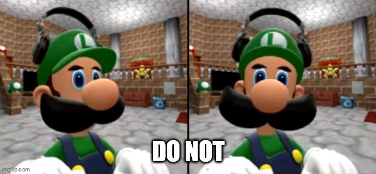 luigi turns his head and stares at you | DO NOT | image tagged in luigi turns his head and stares at you | made w/ Imgflip meme maker