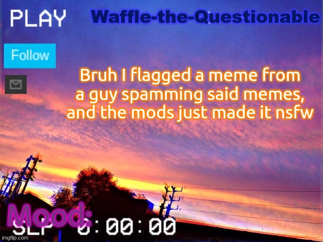 Like wat | Bruh I flagged a meme from a guy spamming said memes, and the mods just made it nsfw | image tagged in waffle-the-questionable | made w/ Imgflip meme maker