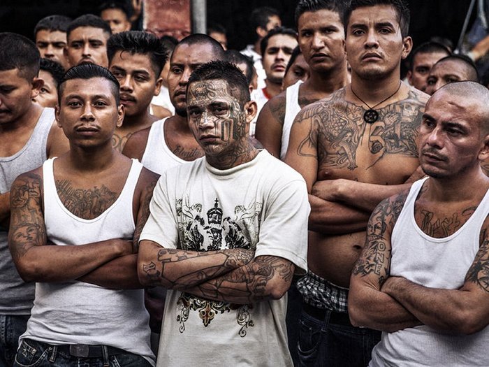 Ms13 votes Democrat Blank Meme Template