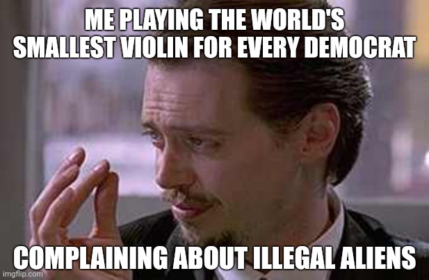 Cry to your mama. | ME PLAYING THE WORLD'S SMALLEST VIOLIN FOR EVERY DEMOCRAT; COMPLAINING ABOUT ILLEGAL ALIENS | image tagged in smallest violin | made w/ Imgflip meme maker