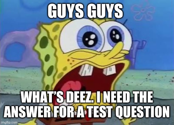 4 year olds meme | GUYS GUYS; WHAT’S DEEZ. I NEED THE ANSWER FOR A TEST QUESTION | image tagged in spongebob crying/screaming | made w/ Imgflip meme maker
