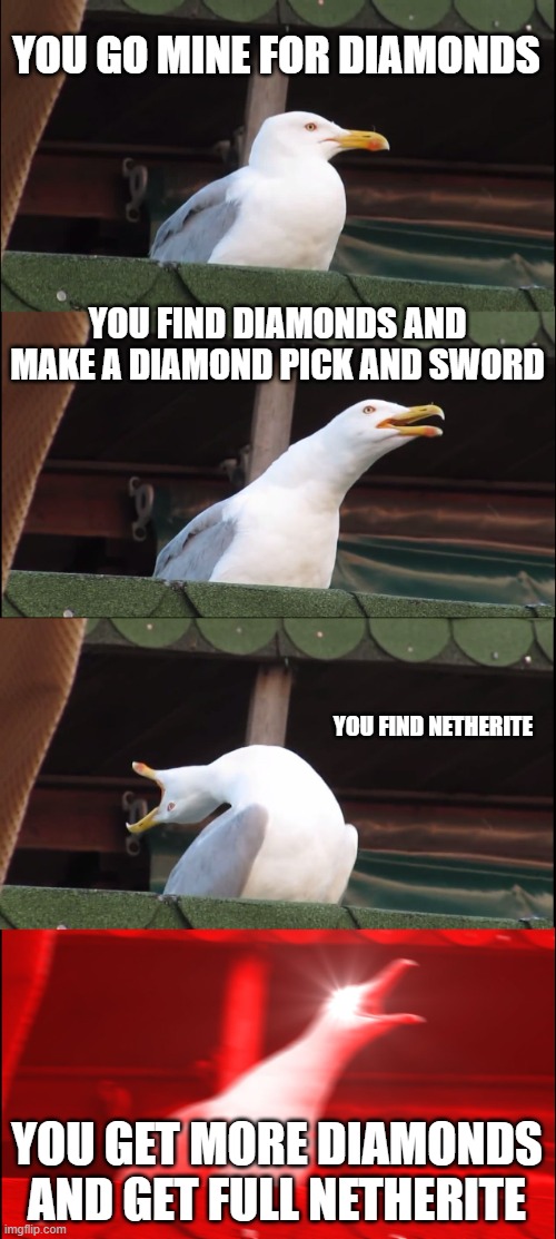 netherite to diamonds | YOU GO MINE FOR DIAMONDS; YOU FIND DIAMONDS AND MAKE A DIAMOND PICK AND SWORD; YOU FIND NETHERITE; YOU GET MORE DIAMONDS AND GET FULL NETHERITE | image tagged in memes,inhaling seagull | made w/ Imgflip meme maker