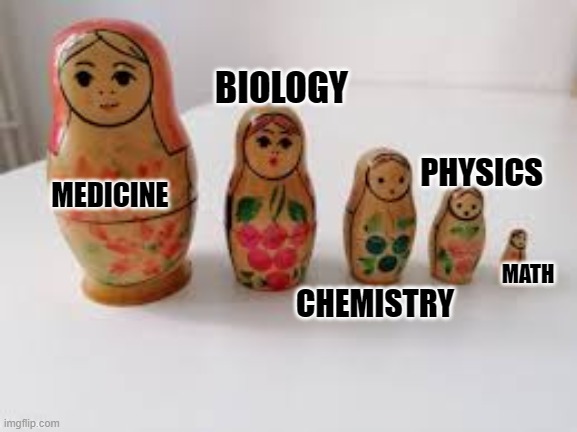 Medryoshka | BIOLOGY; PHYSICS; MEDICINE; MATH; CHEMISTRY | image tagged in medicine,biology,chemistry,physics,math,science | made w/ Imgflip meme maker