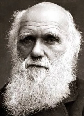 Darwin Blank Meme Template