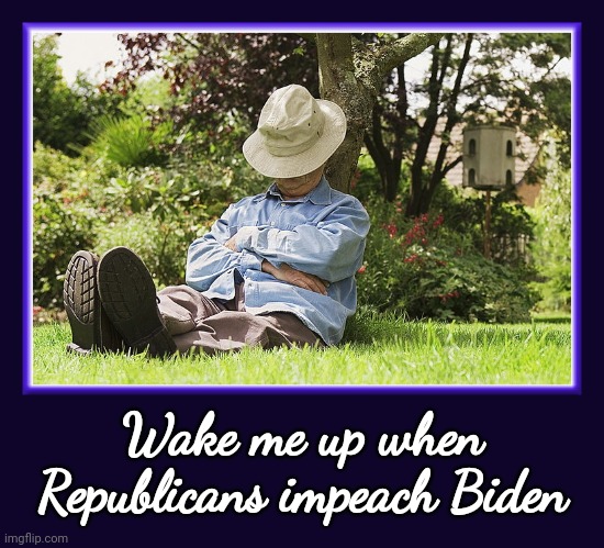 I'll be sleeping under this tree. | Wake me up when Republicans impeach Biden | image tagged in old man | made w/ Imgflip meme maker