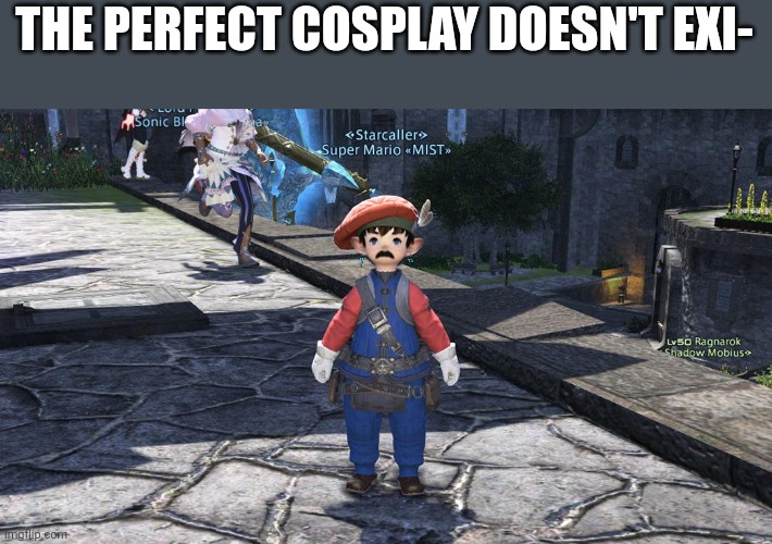I bought a swedish copy of Mario and found this guy on a roof | THE PERFECT COSPLAY DOESN'T EXI- | image tagged in mario,not really | made w/ Imgflip meme maker