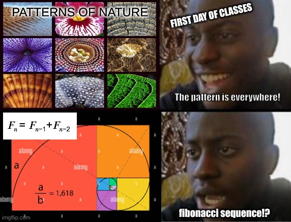 Oh yeah! Oh no... | PATTERNS OF NATURE; FIRST DAY OF CLASSES; * The pattern is everywhere! fibonacci sequence!? | image tagged in oh yeah oh no | made w/ Imgflip meme maker