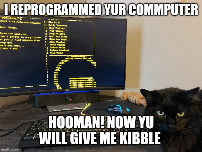 Programming cat | I REPROGRAMMED YUR COMMPUTER; HOOMAN! NOW YU WILL GIVE ME KIBBLE | image tagged in cat,angry cat | made w/ Imgflip meme maker