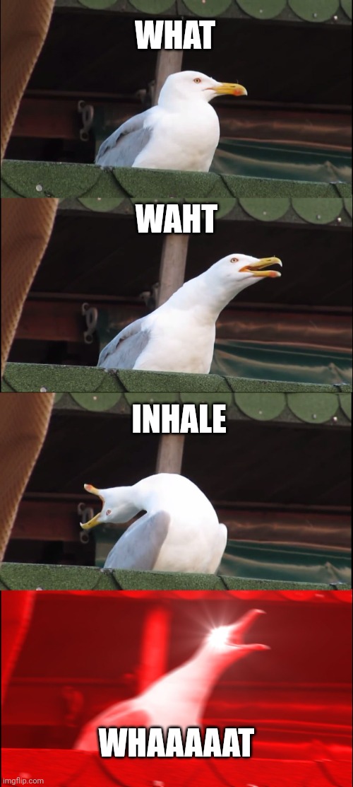 When somebody calls your name | WHAT; WAHT; INHALE; WHAAAAAT | image tagged in memes,inhaling seagull | made w/ Imgflip meme maker
