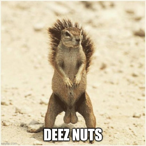 DEEZ NUTS | DEEZ NUTS | image tagged in deez nuts | made w/ Imgflip meme maker