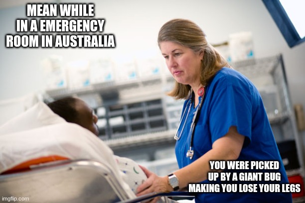 Meanwhile in an Australian emergency room | MEAN WHILE IN A EMERGENCY ROOM IN AUSTRALIA YOU WERE PICKED UP BY A GIANT BUG MAKING YOU LOSE YOUR LEGS | image tagged in meanwhile in an australian emergency room | made w/ Imgflip meme maker