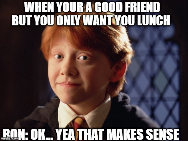Ron Weasley | WHEN YOUR A GOOD FRIEND BUT YOU ONLY WANT YOU LUNCH; RON: OK... YEA THAT MAKES SENSE | image tagged in ron weasley | made w/ Imgflip meme maker