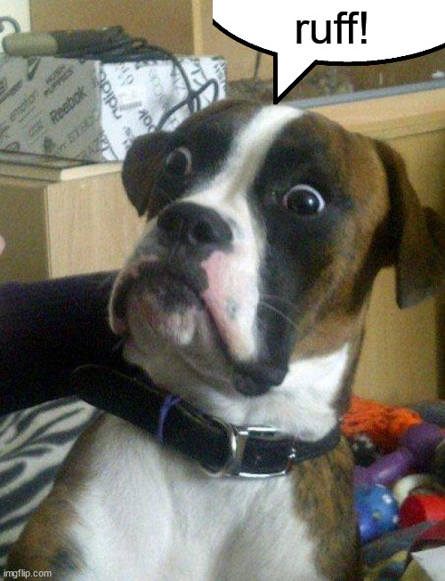 Blankie the Shocked Dog | ruff! | image tagged in blankie the shocked dog | made w/ Imgflip meme maker