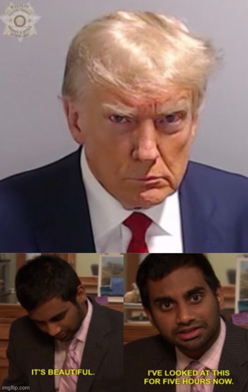 A little late to the party | image tagged in donald trump mugshot,tom haverford,memes,beautiful | made w/ Imgflip meme maker