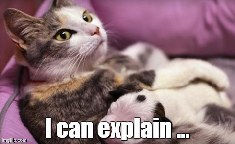 I can explain ... | image tagged in cat  puppy | made w/ Imgflip meme maker