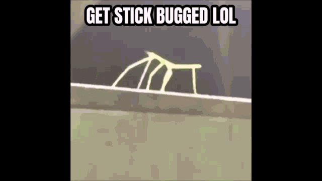 Stick Bug lol Blank Meme Template