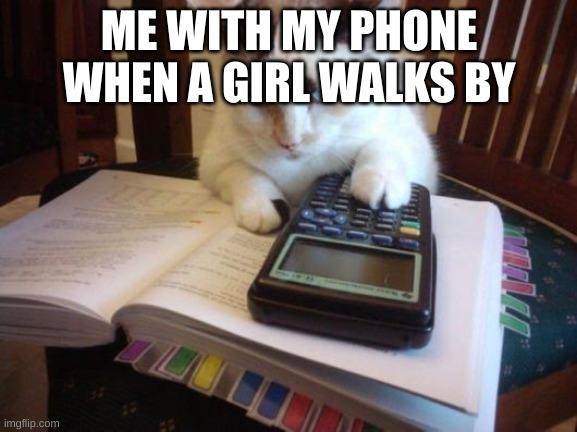 Cat calculator | ME WITH MY PHONE WHEN A GIRL WALKS BY | image tagged in cat calculator | made w/ Imgflip meme maker