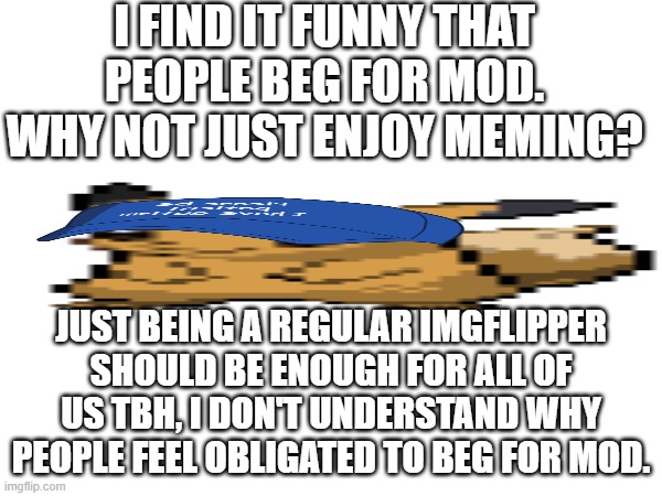 Idk why I'm posting this I'm just running out of braincells | I FIND IT FUNNY THAT PEOPLE BEG FOR MOD. WHY NOT JUST ENJOY MEMING? JUST BEING A REGULAR IMGFLIPPER SHOULD BE ENOUGH FOR ALL OF US TBH, I DON'T UNDERSTAND WHY PEOPLE FEEL OBLIGATED TO BEG FOR MOD. | image tagged in e | made w/ Imgflip meme maker