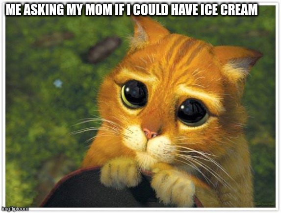 Shrek Cat | ME ASKING MY MOM IF I COULD HAVE ICE CREAM | image tagged in memes,shrek cat | made w/ Imgflip meme maker