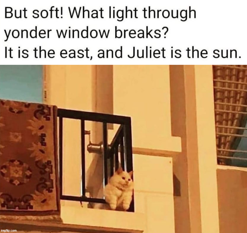 image tagged in romeo and juliet | made w/ Imgflip meme maker
