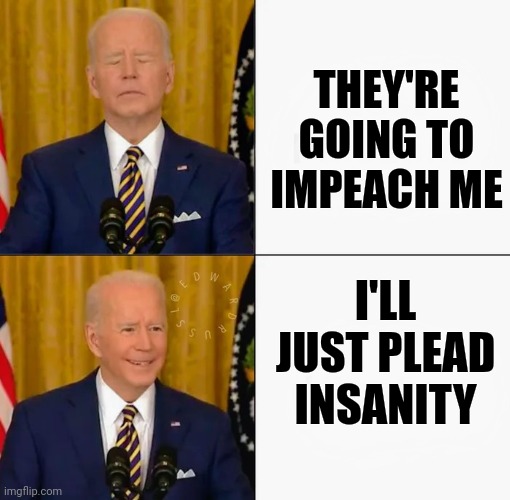 Brandon and Joe Bling | THEY'RE GOING TO IMPEACH ME I'LL JUST PLEAD INSANITY | image tagged in brandon and joe bling | made w/ Imgflip meme maker
