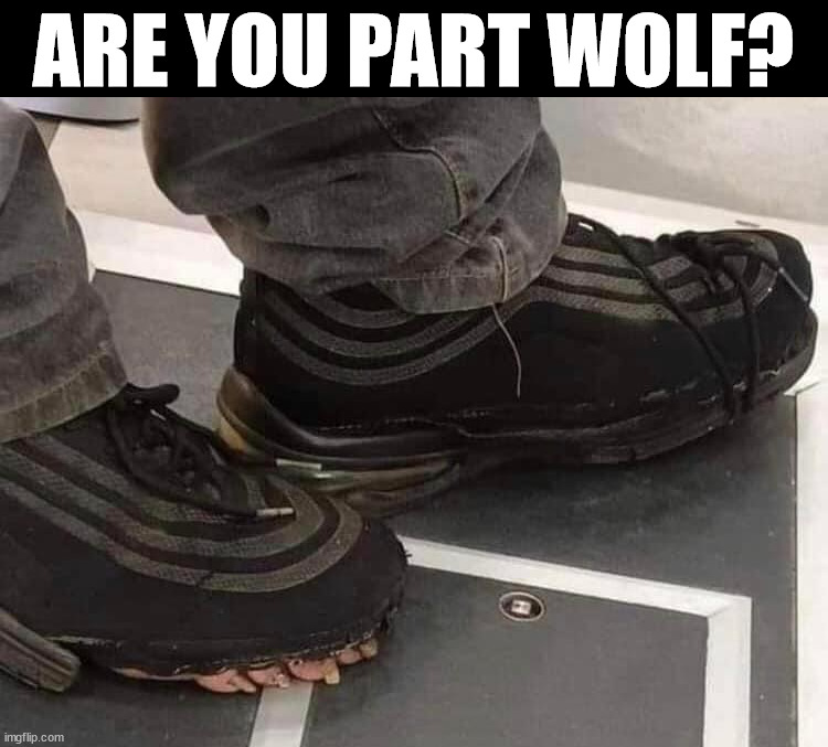ARE YOU PART WOLF? | made w/ Imgflip meme maker