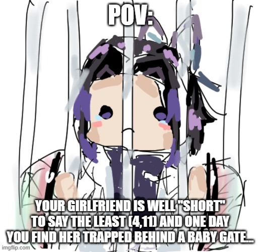 more detailed photo in the comments lol credit to dekumakesmemes | POV:; YOUR GIRLFRIEND IS WELL "SHORT" TO SAY THE LEAST (4,11) AND ONE DAY YOU FIND HER TRAPPED BEHIND A BABY GATE... | image tagged in credit to dekumakesmemes | made w/ Imgflip meme maker