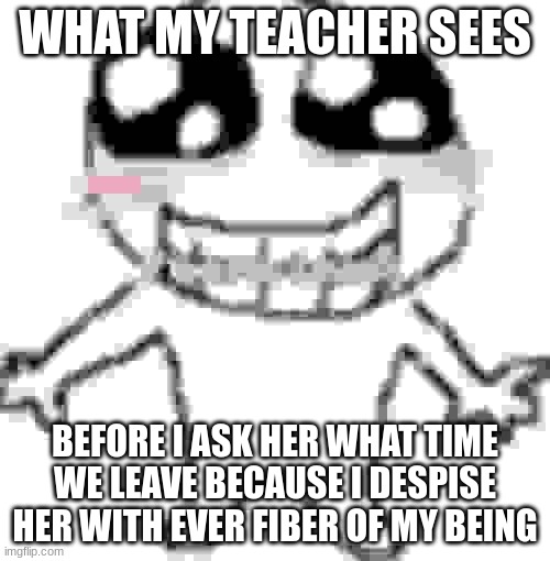 yeah basically | WHAT MY TEACHER SEES; BEFORE I ASK HER WHAT TIME WE LEAVE BECAUSE I DESPISE HER WITH EVER FIBER OF MY BEING | image tagged in unhelpful high school teacher,lady screams at cat | made w/ Imgflip meme maker