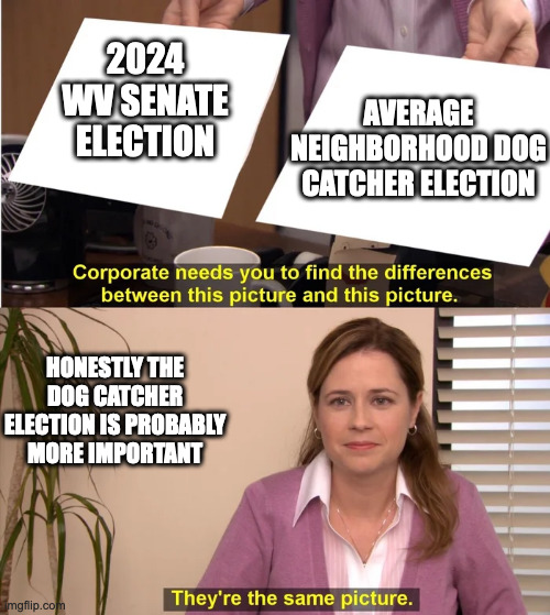 Least consequential eleciton | 2024 WV SENATE ELECTION; AVERAGE NEIGHBORHOOD DOG CATCHER ELECTION; HONESTLY THE DOG CATCHER ELECTION IS PROBABLY MORE IMPORTANT | image tagged in there is no difference | made w/ Imgflip meme maker