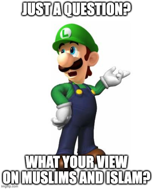 I am muslim btw | JUST A QUESTION? WHAT YOUR VIEW ON MUSLIMS AND ISLAM? | image tagged in logic luigi | made w/ Imgflip meme maker