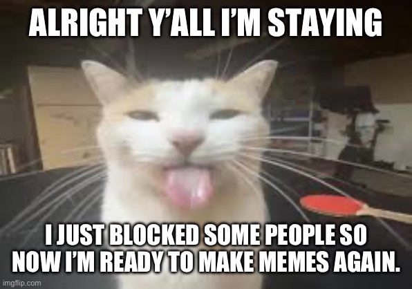 Cat | ALRIGHT Y’ALL I’M STAYING; I JUST BLOCKED SOME PEOPLE SO NOW I’M READY TO MAKE MEMES AGAIN. | image tagged in cat | made w/ Imgflip meme maker
