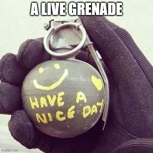 soon to be anyway | A LIVE GRENADE | image tagged in smiley grenade | made w/ Imgflip meme maker