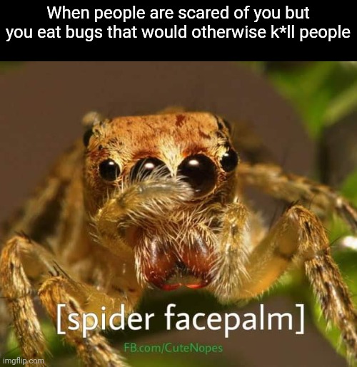 When people are scared of you but you eat bugs that would otherwise k*ll people | image tagged in spooder,jumping spider,cute,nope | made w/ Imgflip meme maker