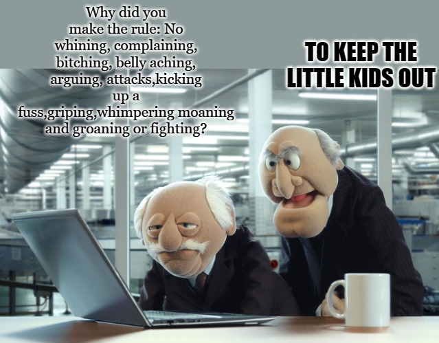 Why did you make the rule: No whining, complaining, bitching, belly aching, arguing, attacks,kicking up a fuss,griping,whimpering moaning and groaning or fighting? TO KEEP THE LITTLE KIDS OUT | image tagged in muppets | made w/ Imgflip meme maker