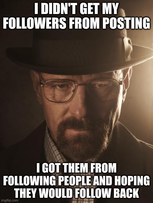Walter White | I DIDN'T GET MY FOLLOWERS FROM POSTING; I GOT THEM FROM FOLLOWING PEOPLE AND HOPING THEY WOULD FOLLOW BACK | image tagged in walter white | made w/ Imgflip meme maker