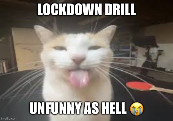 Cat | LOCKDOWN DRILL; UNFUNNY AS HELL 😭 | image tagged in cat | made w/ Imgflip meme maker