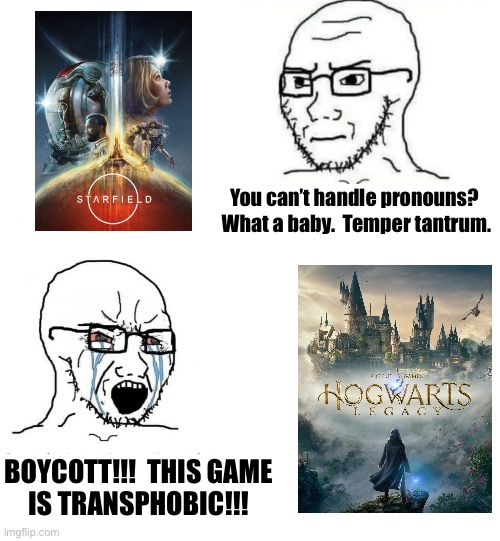 Hypocrite Neckbeard | You can’t handle pronouns?  What a baby.  Temper tantrum. BOYCOTT!!!  THIS GAME
IS TRANSPHOBIC!!! | image tagged in hypocrite neckbeard | made w/ Imgflip meme maker