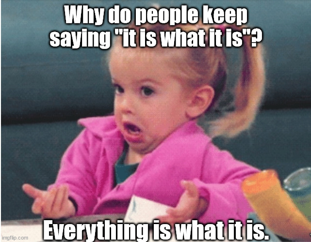 It is what it is. | Why do people keep saying "it is what it is"? Everything is what it is. | image tagged in funny | made w/ Imgflip meme maker